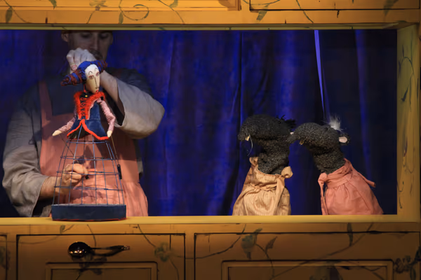 Cinderella — Photo 8 of 19