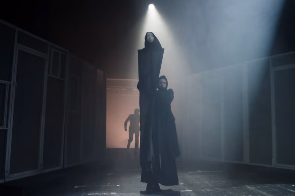Чайки — Фото 2 из 10